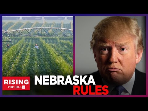 Media FREAKS OUT Over Nebraska Trying To SECURE TRUMP Win 7 Weeks Ahead Of Election