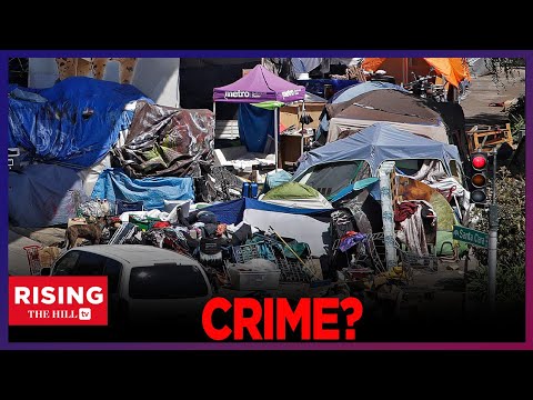 Violent Crime UP Or DOWN? Public Disorder IS SOARING: Interview