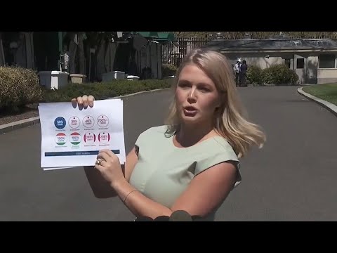 NEW: Karoline Leavitt BATTLES Reporters on Tariffs and Deportations