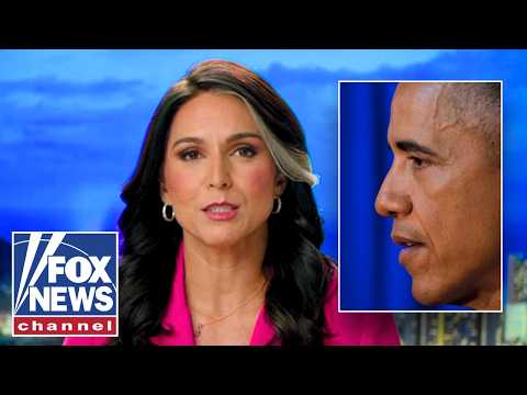 They won't get away with this: Tulsi Gabbard