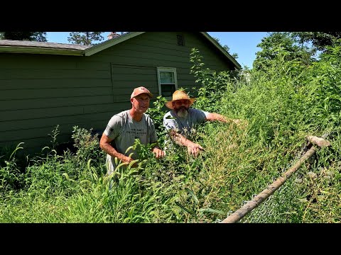 Distressed SINGLE MOM Needed Help With Her OVERGROWN LAWN With Cabin On The Hill