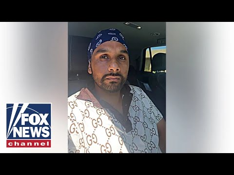 DETAILS: Illegal migrant trucker released on bond after deadly Florida crash