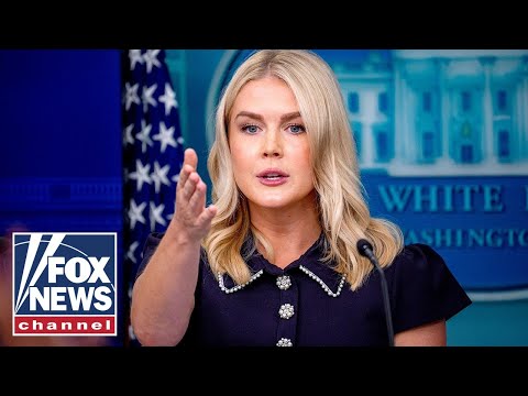 Karoline Leavitt briefs after Trump's historic meeting with Zelenskyy