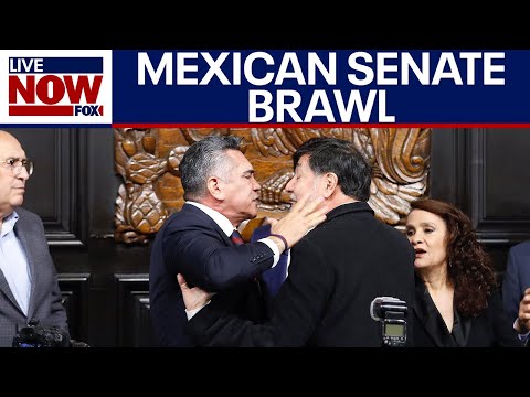 Mexican politicians brawl, Trump administration continues cartel crackdown | LiveNOW from FOX