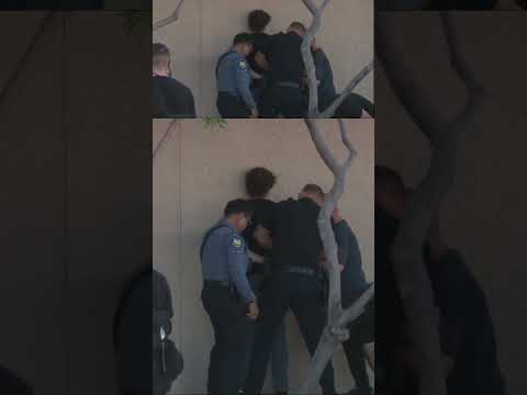 Man caught vandalizing Charlie Kirk memorial outside TPUSA headquarters #shorts #foxnews #us