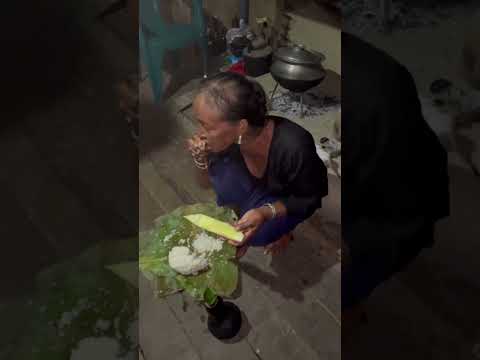 How the kitten lives in the hill!! #kitten #love #hills #indigenouscultures #family #pets