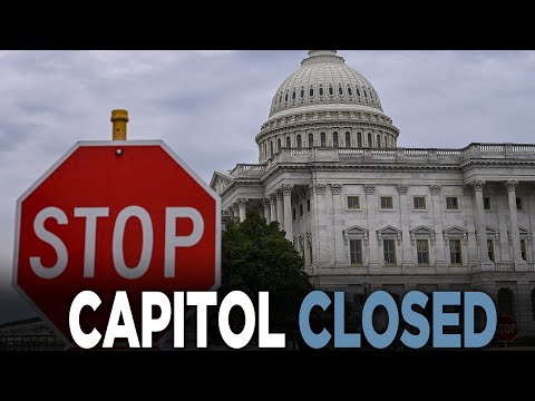 Senate FAILS To Avert Government Shutdown, OMB Begins SHUTDOWN PLANS — The Hill | NEWSNATION