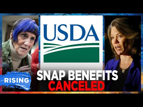 USDA BLAMES Dems For Shutdown, No November SNAP Benefits | RISING