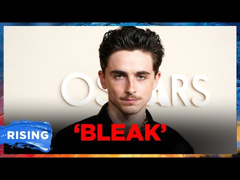 Timothee Chalamet Sparks OUTRAGE Over Child-Free BRAGGING Critique | RISING