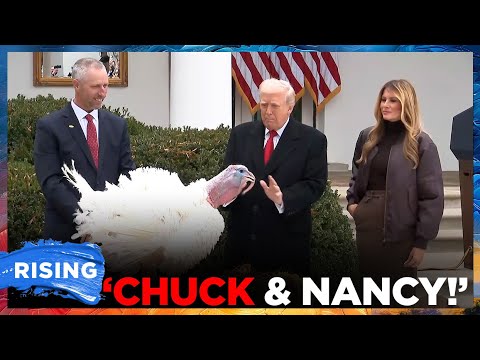 WATCH: Trump TROLLS Schumer, Pelosi At Turkey Pardoning | RISING