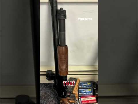 Twins arrested for DEATH THREATS against DHS, ICE #foxnews #news #us #fox