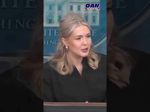 Leavitt says the press ignored Biden’s lies on inflation & the border,  but now ‘suddenly cares.’