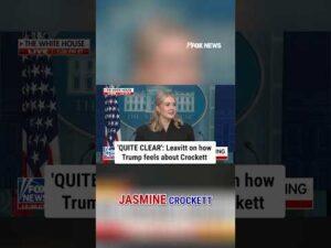 Leavitt calls Jasmine Crockett 'wholly unqualified' for Senate office #shorts #trump #crockett #fox