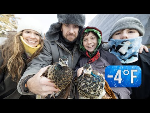 Can We Keep Our Birds from Freezing…