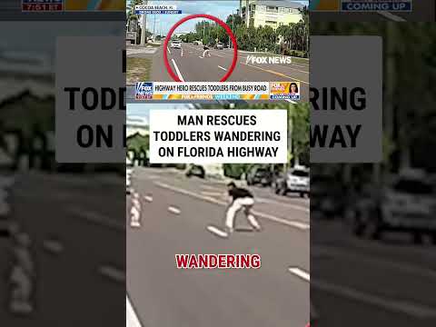 WATCH: Man rescues toddlers wandering on Florida highway #foxnews #news #shorts