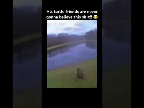 THE WAY IT JUST KEPT ROLLING DOWN THE HILL!😂 #funny #shorts #youtube #youtubeshorts #comedyshorts