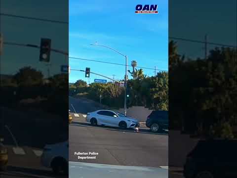 Baby Caught on Video Falling Out of SUV