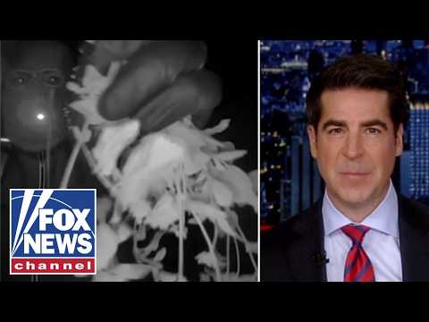 Watters: Things have gotten WEIRD