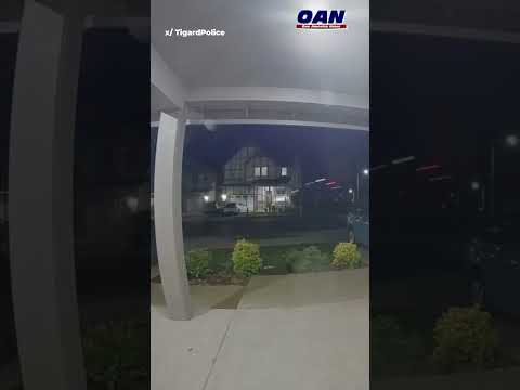 Truck crashes into home