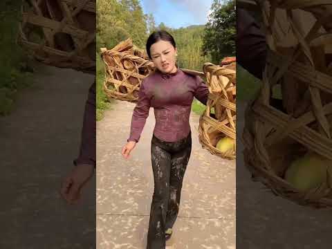 Early Morning Mist: Firewood Scented Adventure Up the Hill