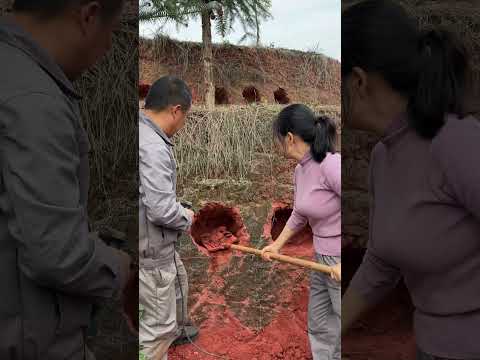 We Dug Cozy Cave Nests On The Hill For Our Chickens | Would You Copy This !