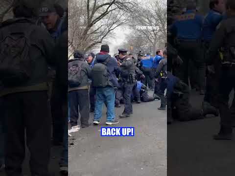 SHOCKING: New footage shows NYPD takedown of alleged terror bomber #foxnews #news #shorts #police