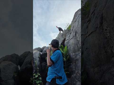 Wow, there's a turkey on the hill. #nature #shortvideo