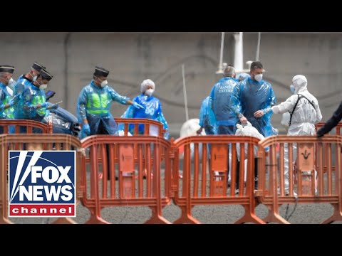 Top WHO official warns of 'high-risk' contacts on hantavirus cruise ship