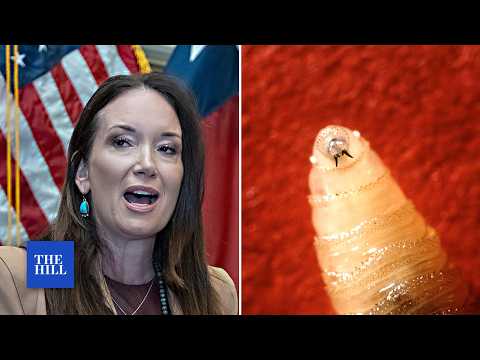 Screwworm outbreak: Trump officials blame Biden's lax immigration policies