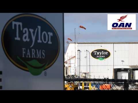 FDA: Taylor Farms Lettuce Sample Produced False Positive