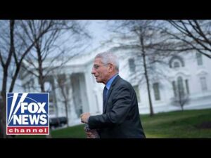 Fauci was 'saving himself from HUMILIATION': Former federal prosecutor