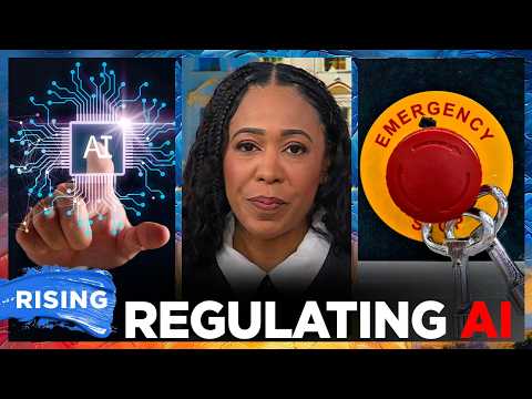 House considering bipartisan KILL SWITCH bill to regulate AI: Lindsey Granger | RISING
