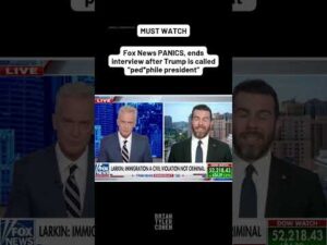 Fox News PANICS, ends interview after Trump is called 'ped*ph*le president'