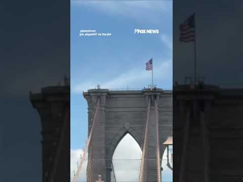 Naked man SURVIVES after jumping off Brooklyn Bridge #shorts #us #news #foxnews #viral