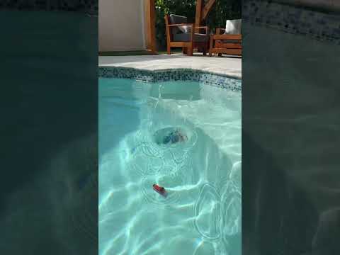Down the Hill and Round the WOAH (Water Tank Thomas version)