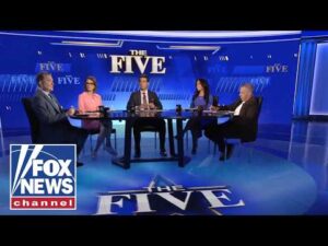 ‘The Five’: Schumer speaks on 'BIG TENT' party…