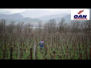 South Africans Raise Concerns Over Farm Attacks at Washington Conference