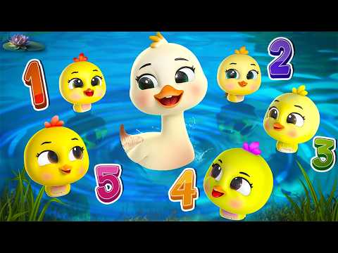 Five Little Ducks Go Over the Hill 🦆| Nursery Rhymes & Kids Songs